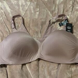 46D Torrid Curve wireless lightly lined every day bra